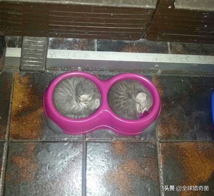 治愈强迫症的29张图片，看完整个人都舒爽了