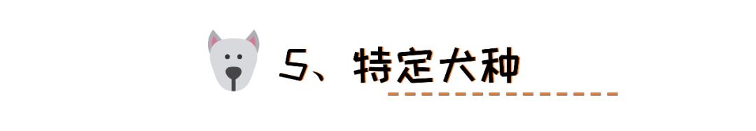 狗狗眼角的泪痕怎么去除小妙招,狗狗眼部泪痕有结痂怎么弄