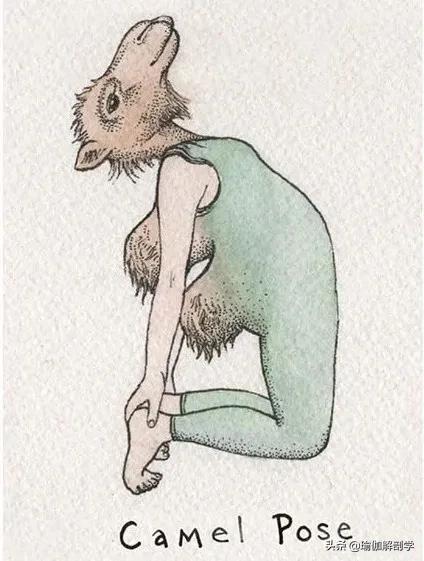 100张户外瑜伽唯美图片,各种动物瑜伽姿势图片