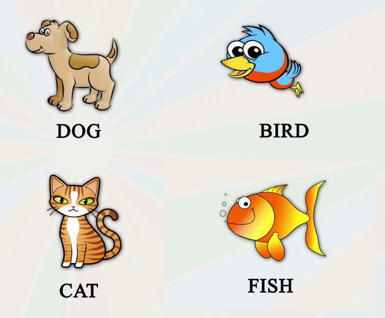 信息论入门教程,信息论基础教程书籍