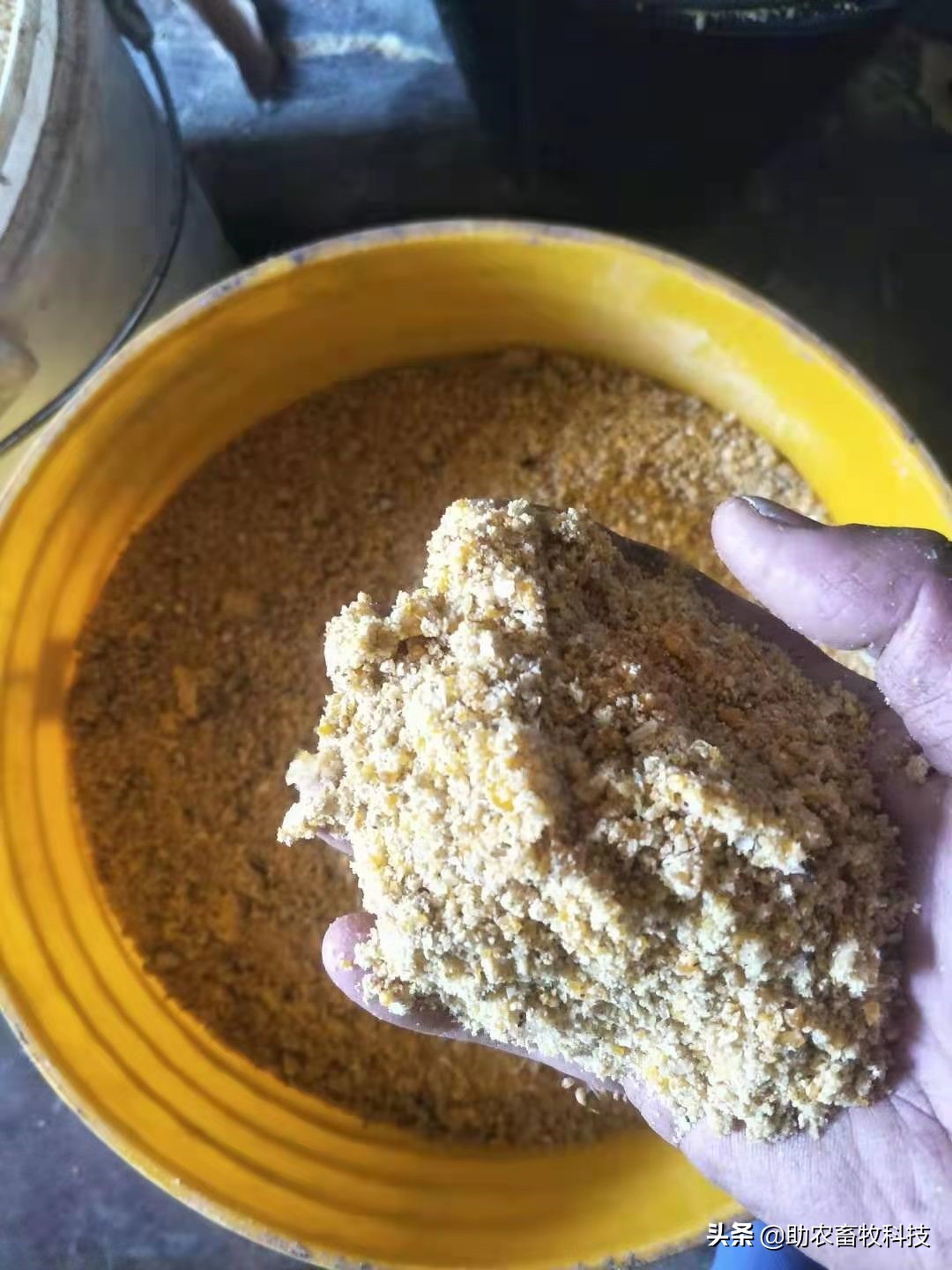 坏鸡蛋扔掉,快过期的鸡蛋怎么大批量处理