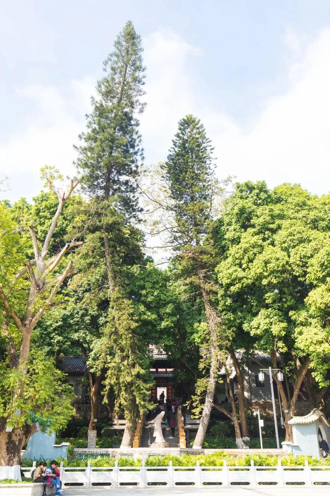 广州花都公园景点地图 (花都旅游景点分布图高清版)