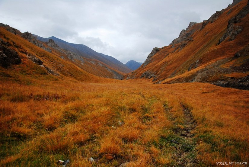 狼c调简谱教唱,狼c