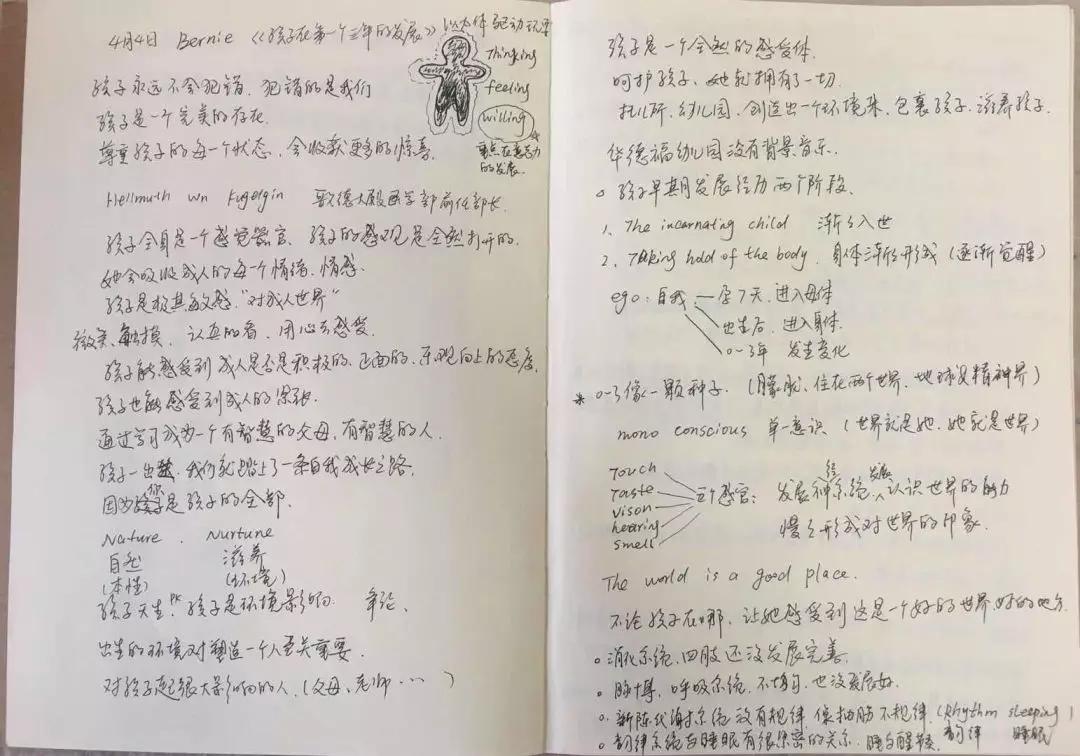 新西兰顶级幼儿教育,新西兰早期儿童教育课程理念