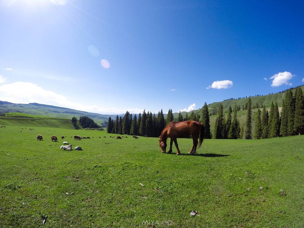 作家丁燕个人简介,丁燕个人资料简介