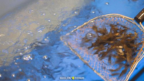 「漫步学府，行摄龙脊」最美金秋，我在这里等你