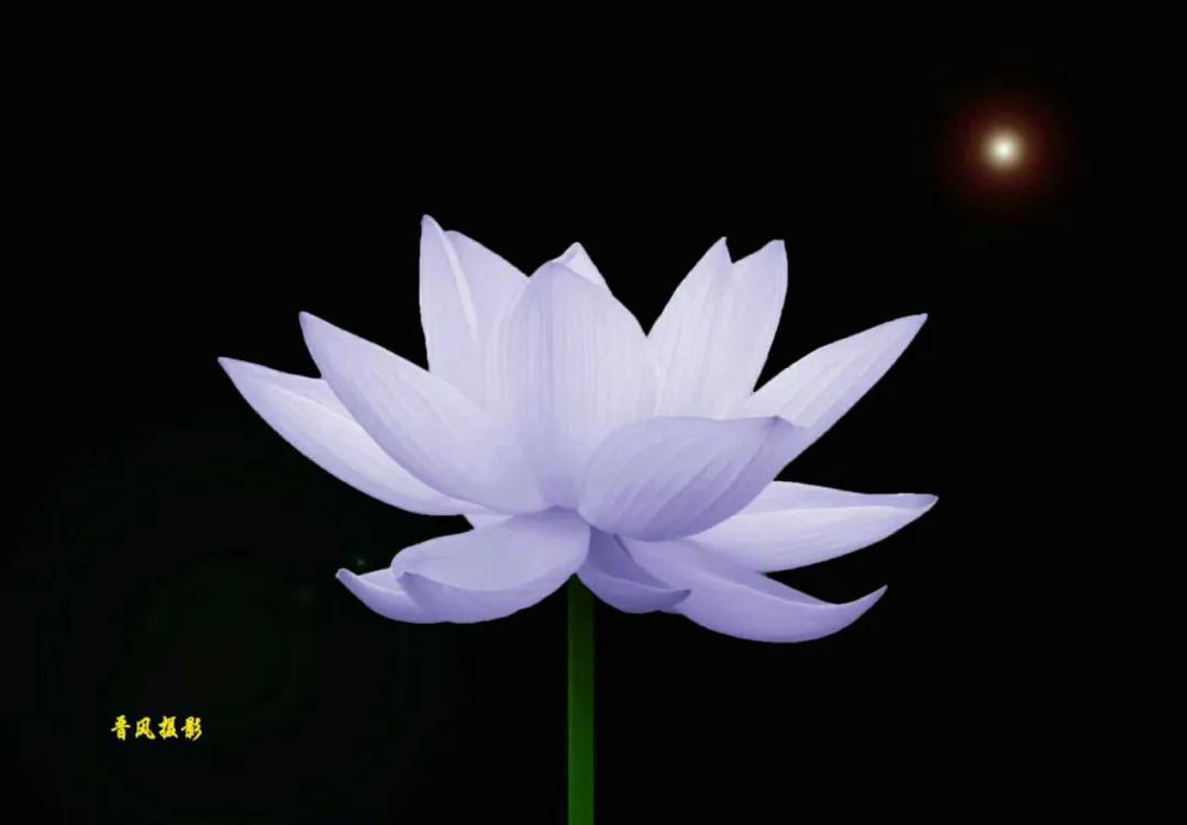 小楼听雨诗刊写女同学的诗,小楼听雨诗刊