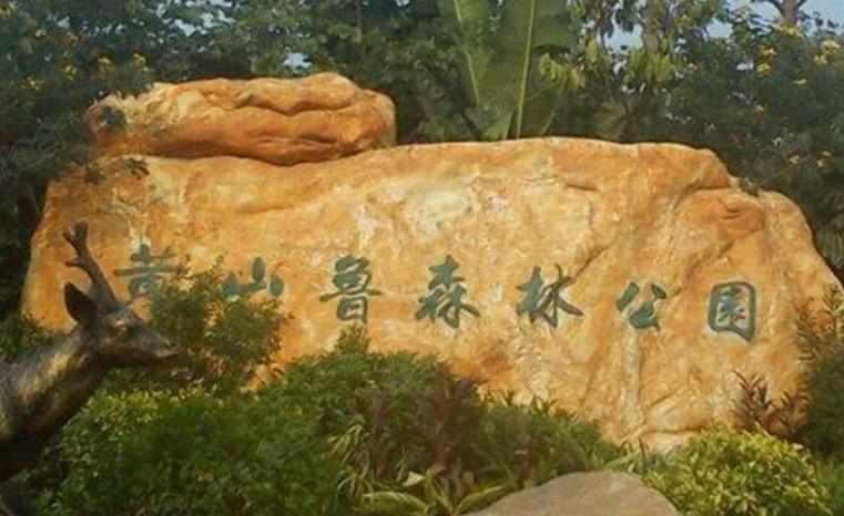 广州黄山鲁森林公园有多少个台阶,广州黄山鲁森林公园景观图片