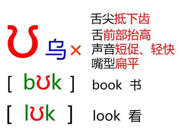 48个音标怎样学习英语从零开始,英语48个国际音标外国人教