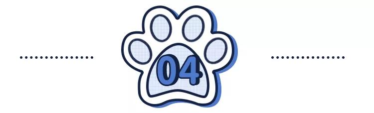 养猫狗常备药,宠物猫狗常用药