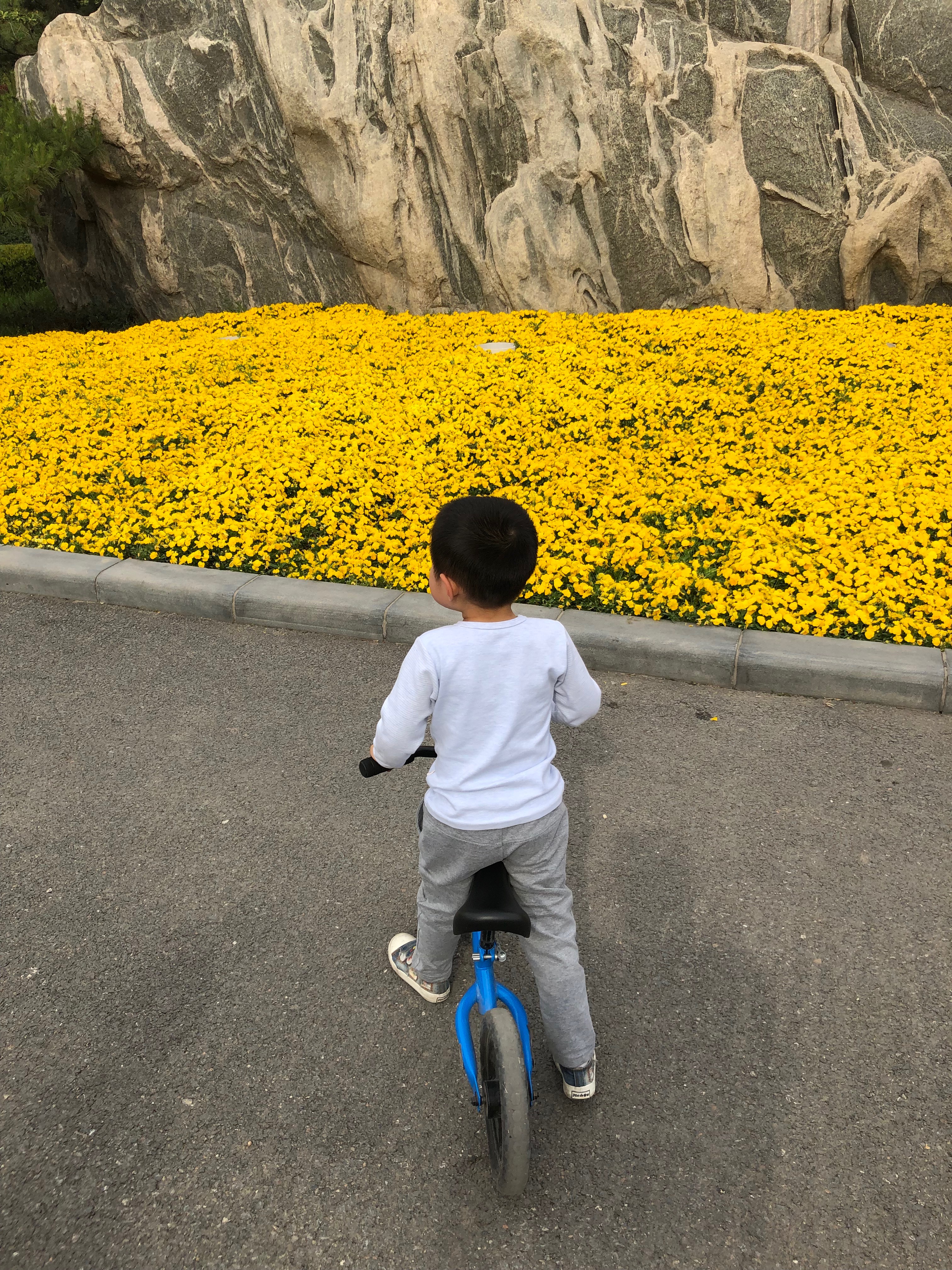 家有自闭儿,家有自闭症娃