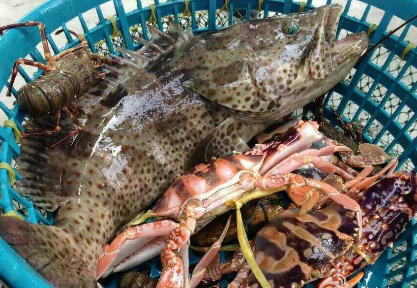 距离珠海最近的岛屿,珠海马尔代夫海岛