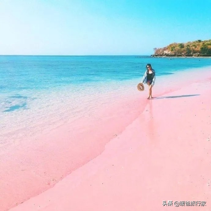 少女心炸裂的粉红沙滩真的很网红,网红打卡被人骗