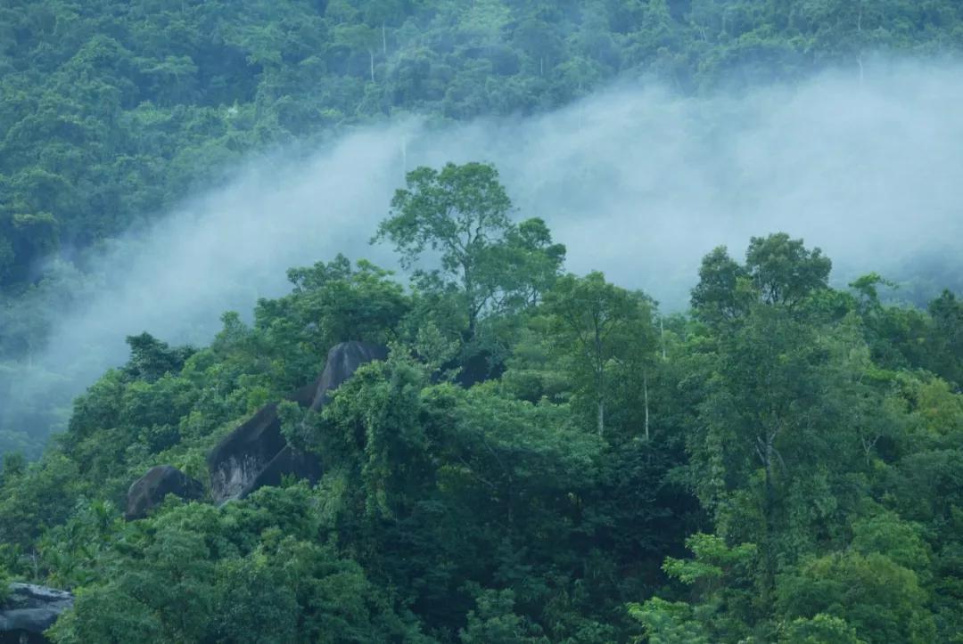 何必羡慕北上广,何必羡慕景区的山与水