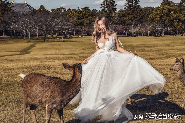 日本旅游感受日本的文化,日本旅游体验感