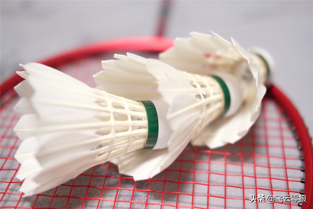 「中羽在线飞云零狼」威羽斯钻一钻二钻五评测——高性价比鹅毛球