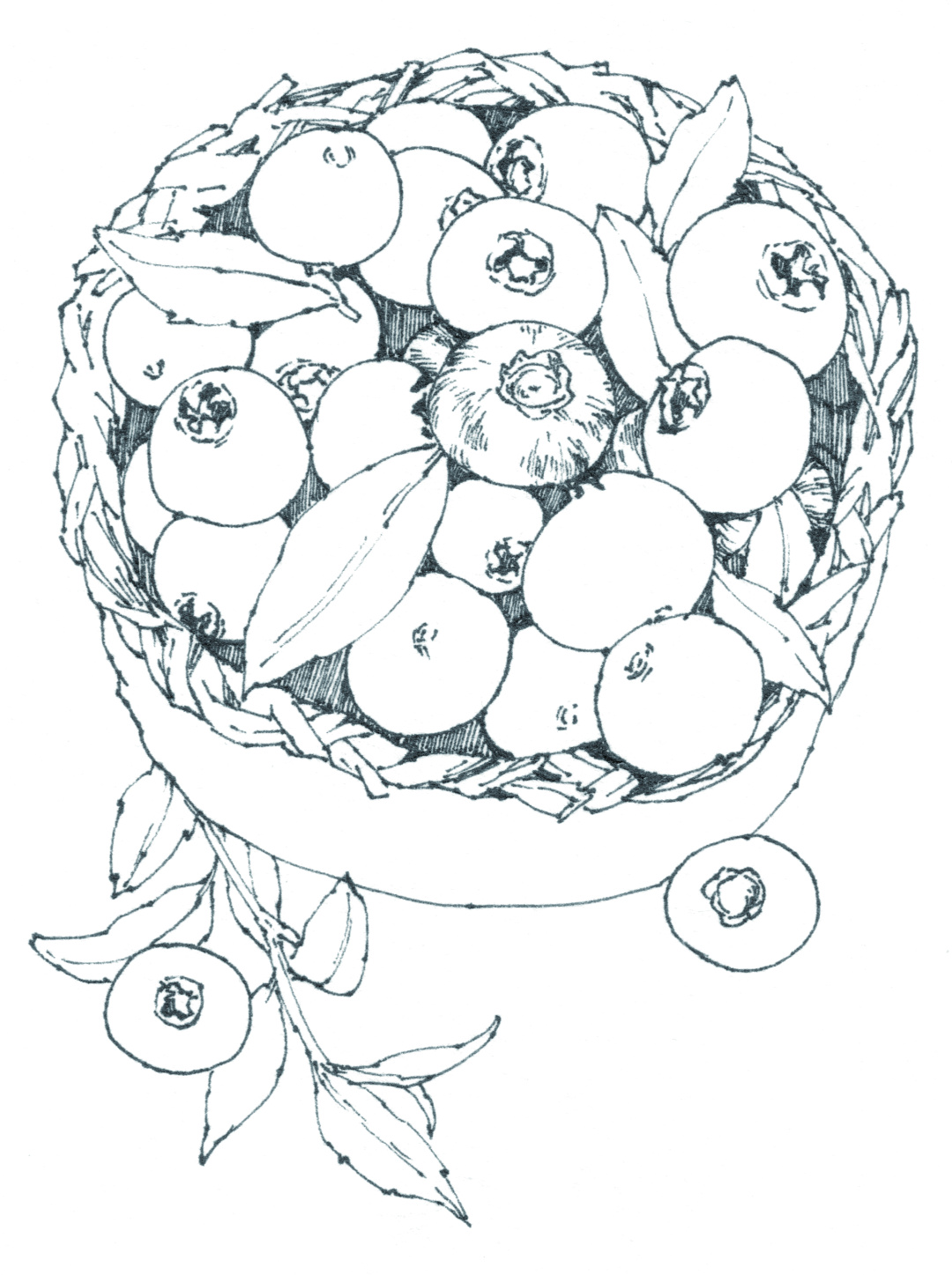 章鱼小丸子草莓,蓝莓章鱼小丸子