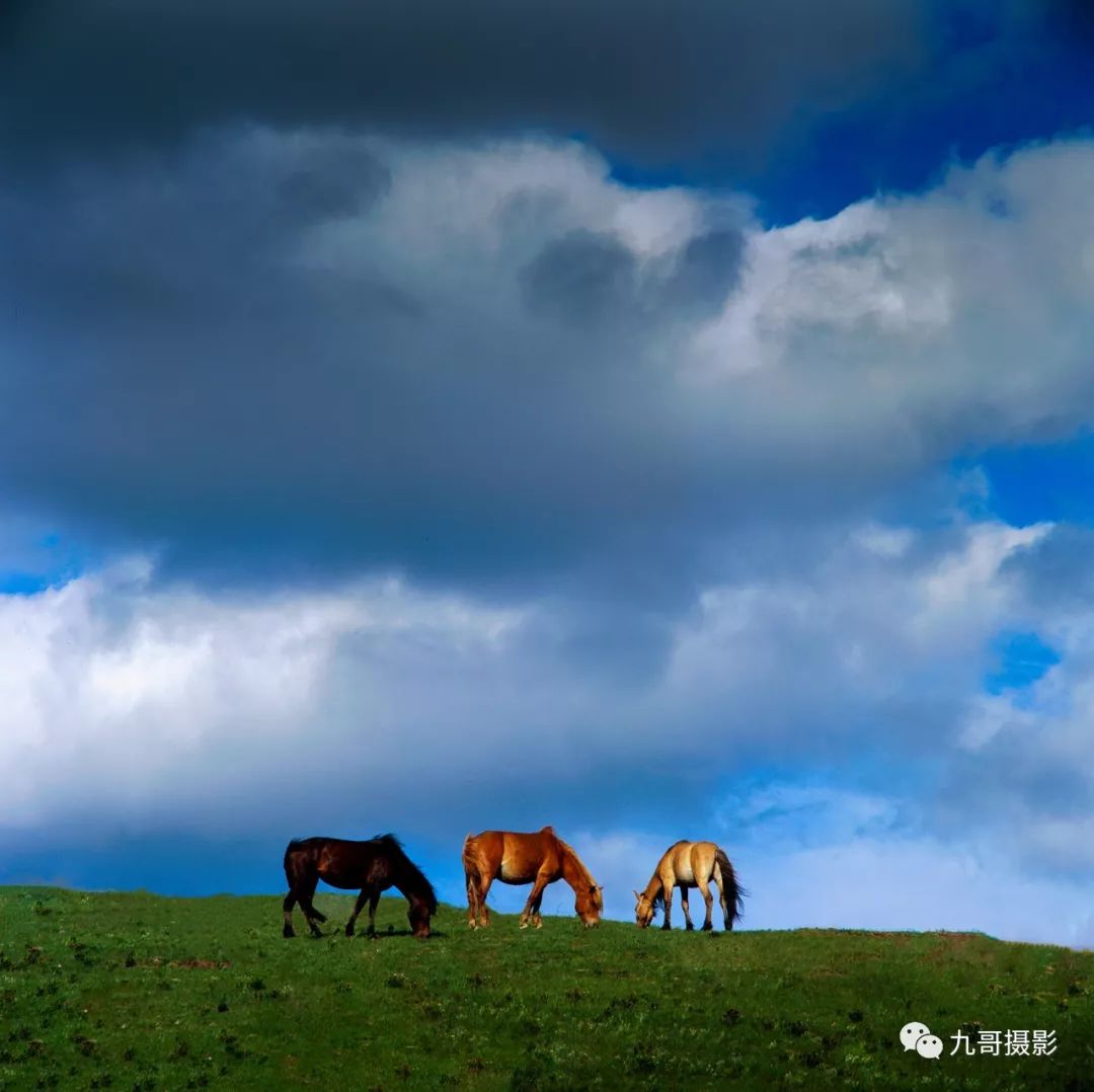 坝上草原天路美景,大美坝上风光系列之一