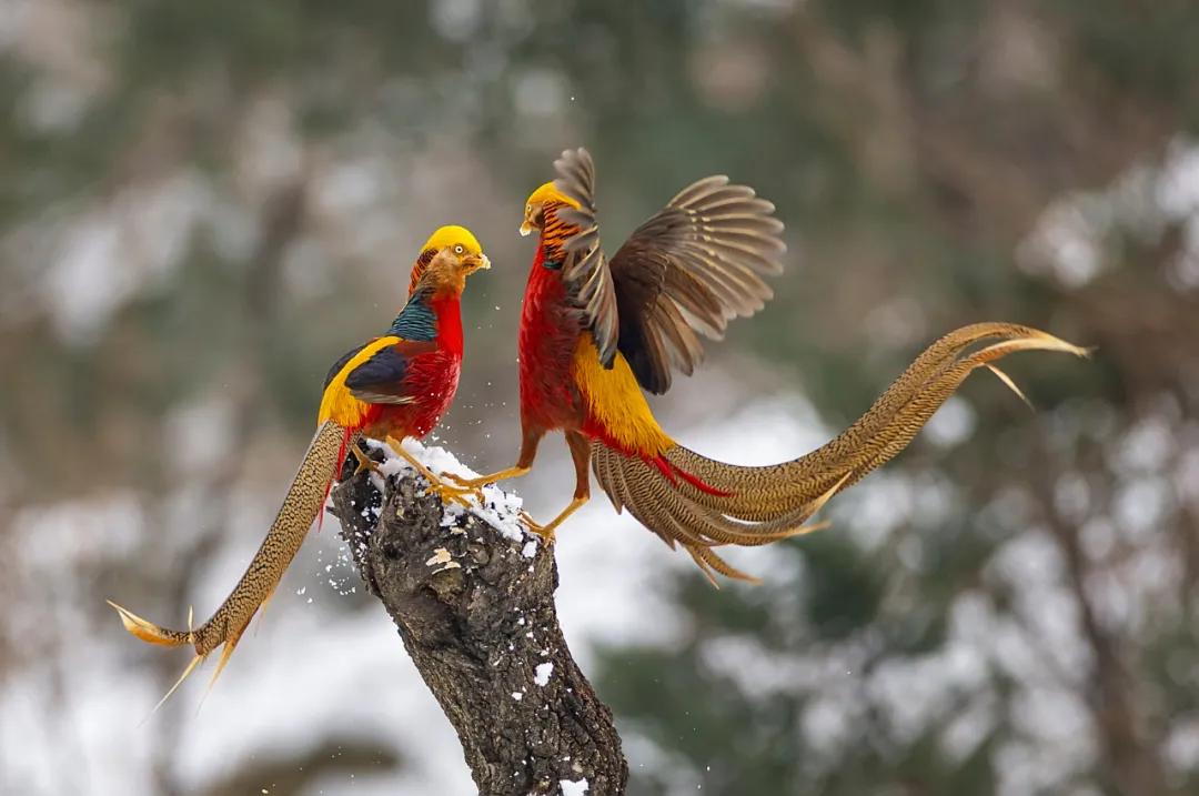 香港第14届全国摄影艺术展,第29届全国摄影艺术展览获奖名单