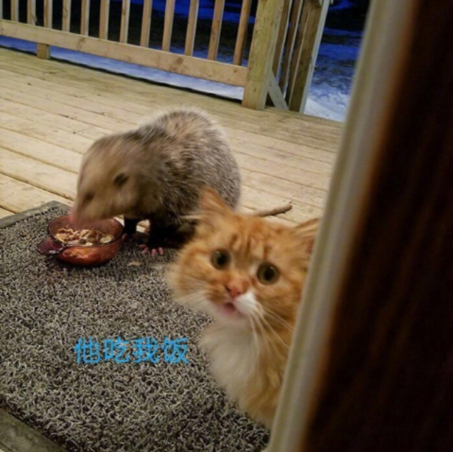 喝醉了第二天醒来精神很好,喝醉酒了第二天再喝一杯