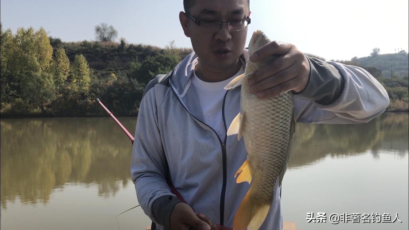 传统钓鱼技巧七星漂调漂,七星漂逗钓调漂的正确方法与技巧