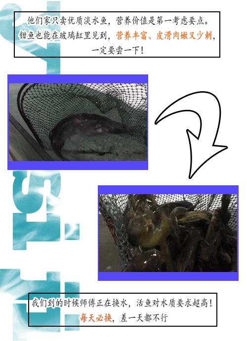 独特“草帽锅盖”新品来袭!钳鱼、黄辣丁分分钟钟跳跃在你舌尖