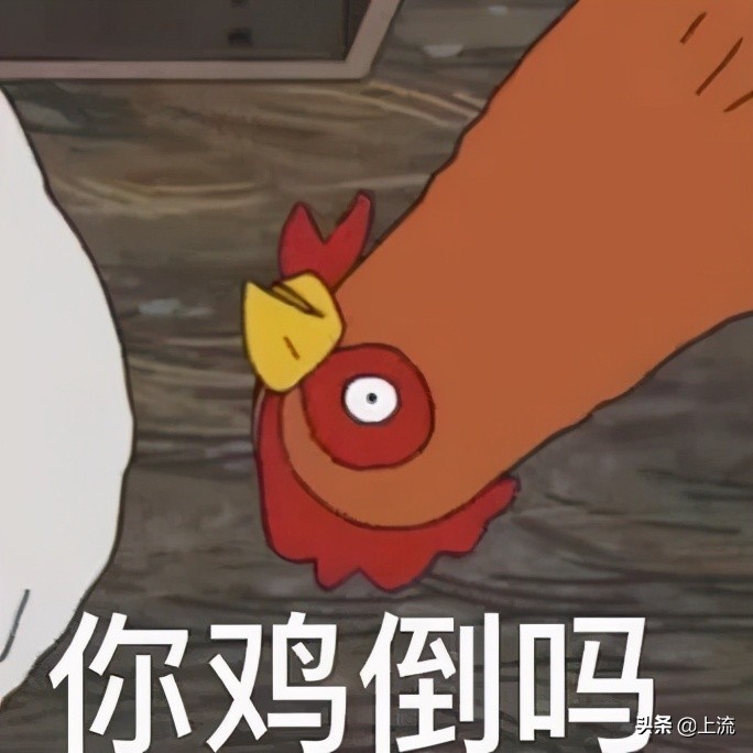 这个辣鸡，才是浙江人心里yyds