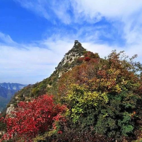 郑州漂亮的秋色风景,郑州的这些湖畔藏着最美的秋色