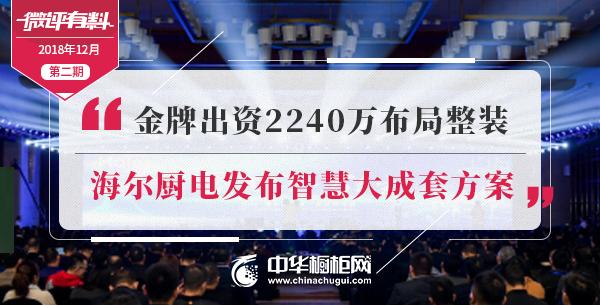金牌橱柜2019,金牌橱柜2019半年报