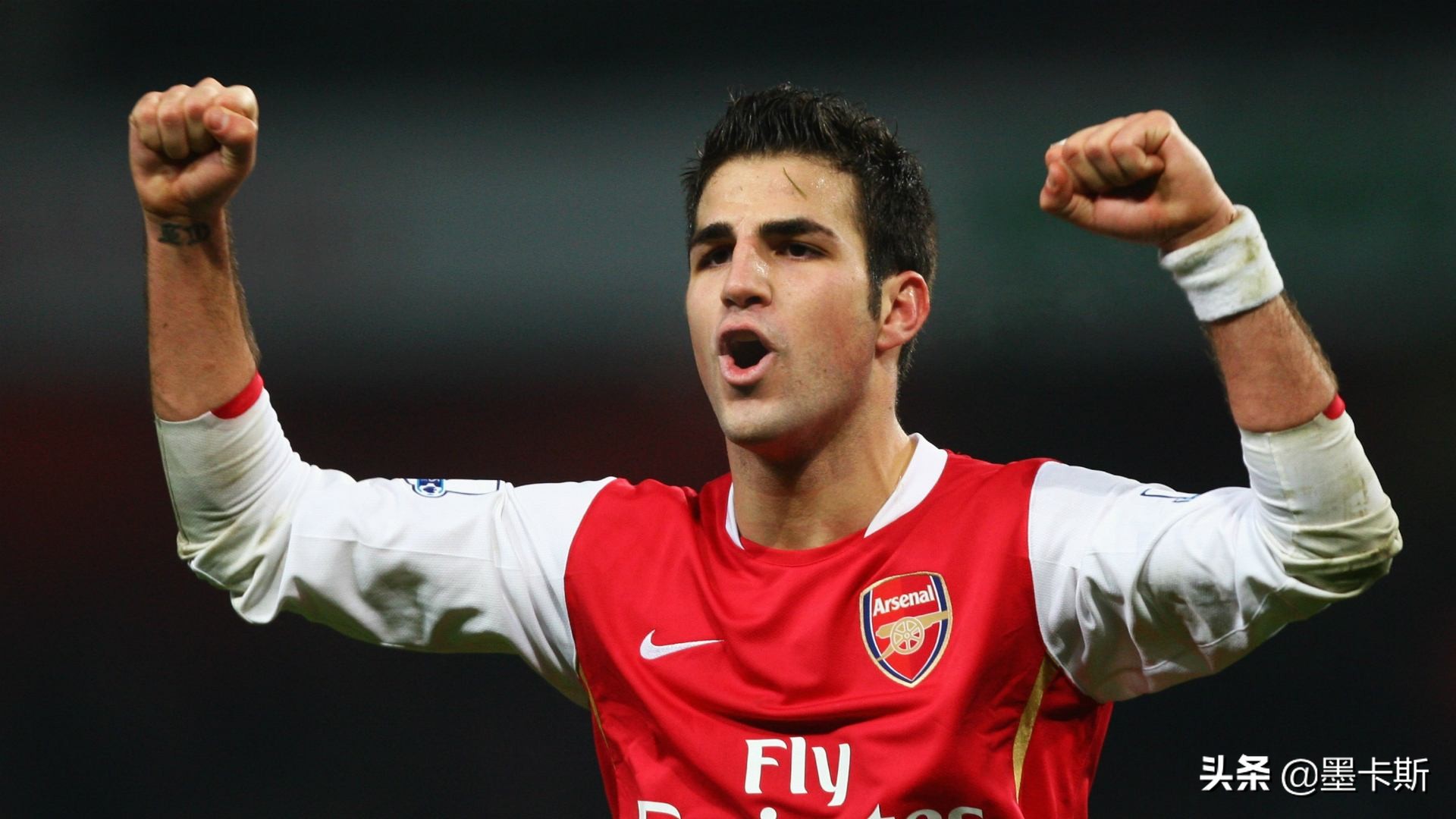 法布雷加斯的传球,法布雷加斯西班牙国家队