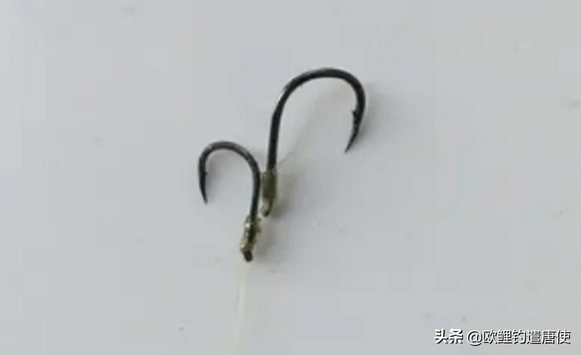 欧鲤钓必须用弯背钩吗,欧鲤钓真的那么厉害吗