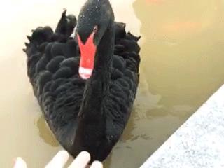 深圳有个建在“空中”的大学，拍照美到爆！