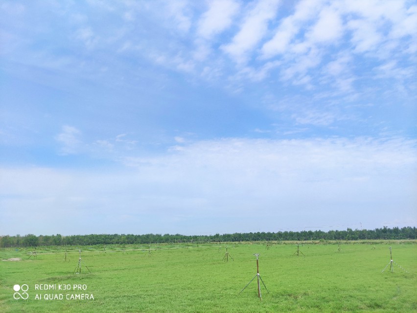 寿北大草原,我们来啦!---探访飞燕草坪寿光双王城基地