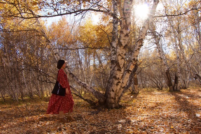 坝上乌兰布统的秋天完整版,乌兰布统坝上草原