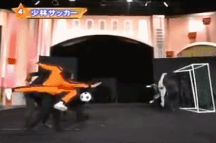 那些年我们追过的岛国人体艺术表演《超级变变变》