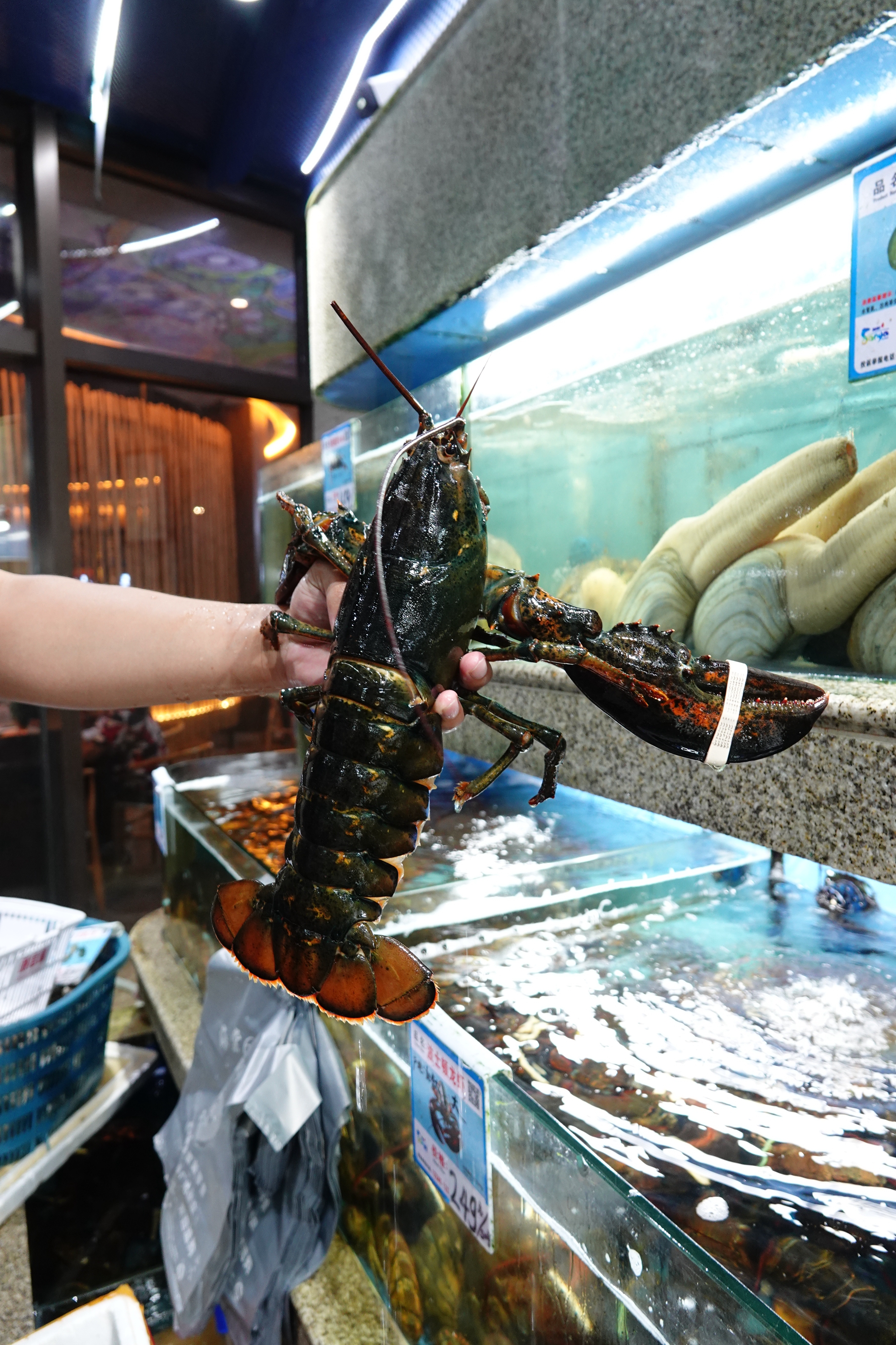 三亚海棠湾亚特兰蒂斯,三亚海棠湾和泓海棠府