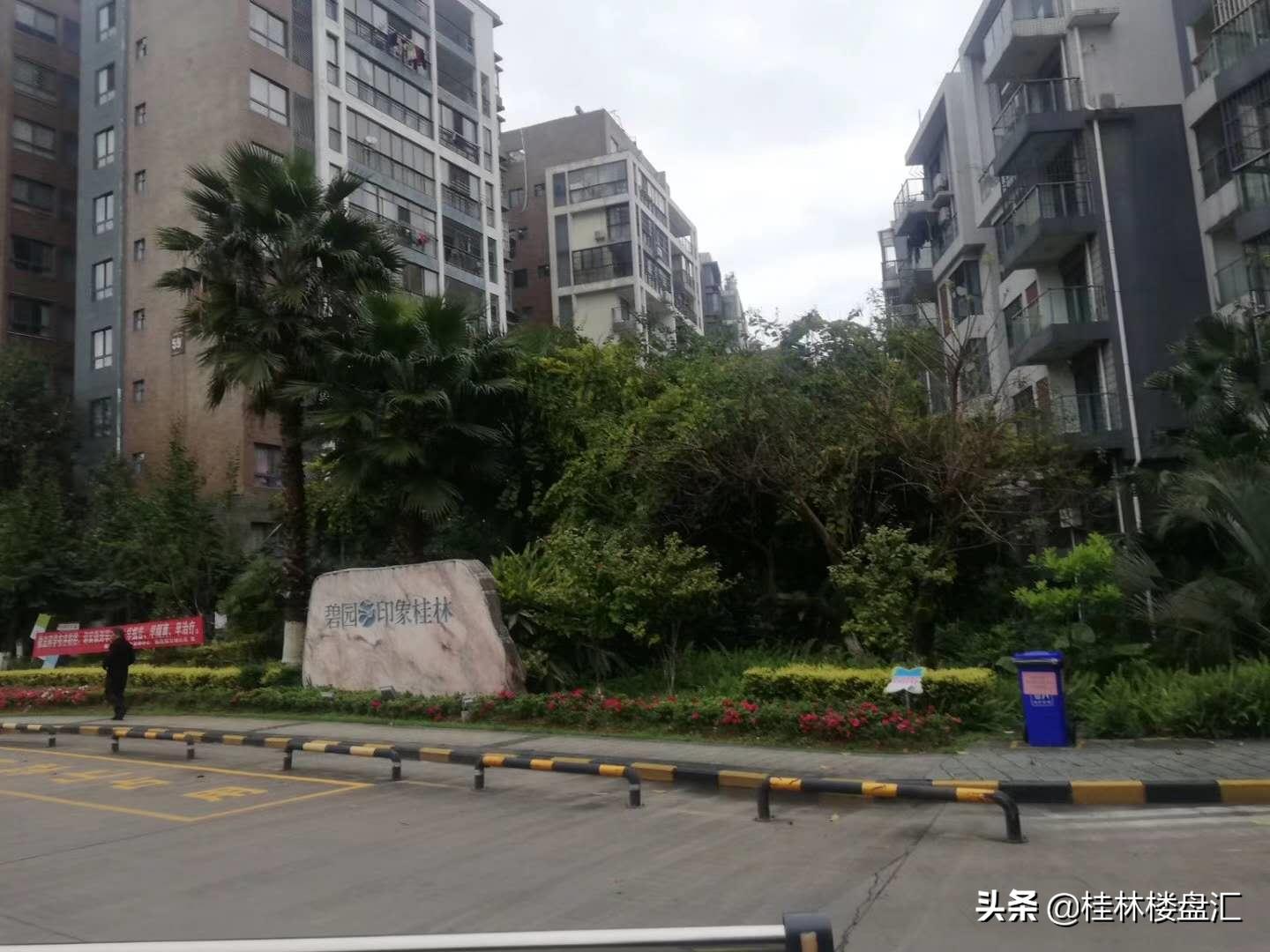 广西桂林临桂冠军,桂林临桂一等奖