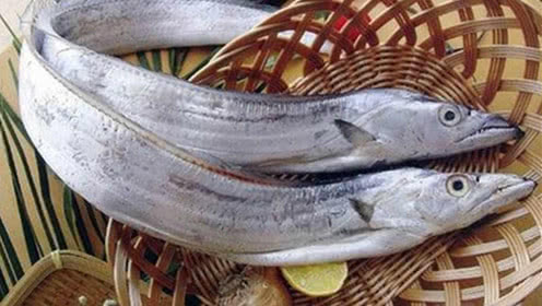 好养好吃的海鱼有哪些,夏天最好的几种海鱼