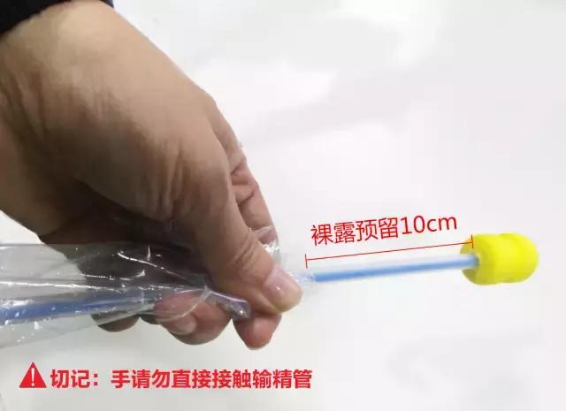 母猪深部输精一天输精几次为最佳,深部输精的正确操作