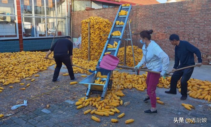 城里女婿帮丈母娘干活,农村女婿给丈母娘晒谷子