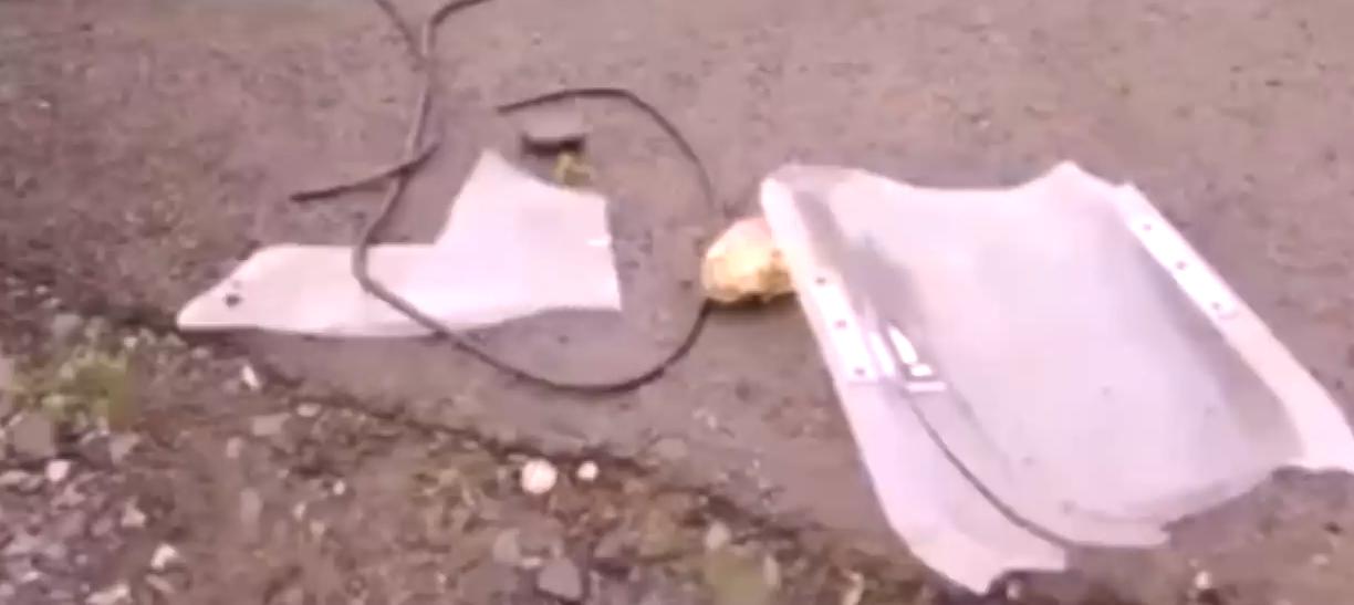 车臣打俄罗斯多少人,车臣人打阿尔及利亚人