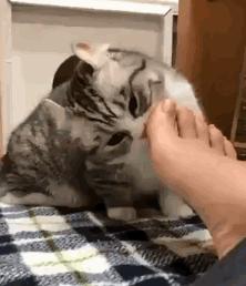 不联系的同学借钱怎么高情商回复,怎么回复借钱的同学