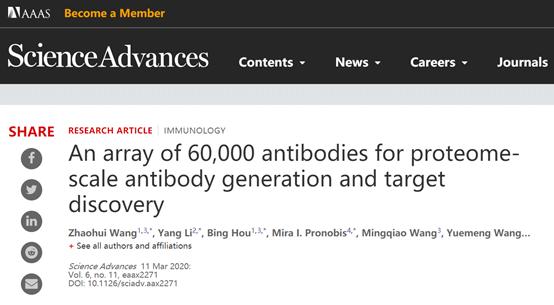 西北大*联学**合上交大开发超高通量抗体芯片并应用于规模化抗体制备