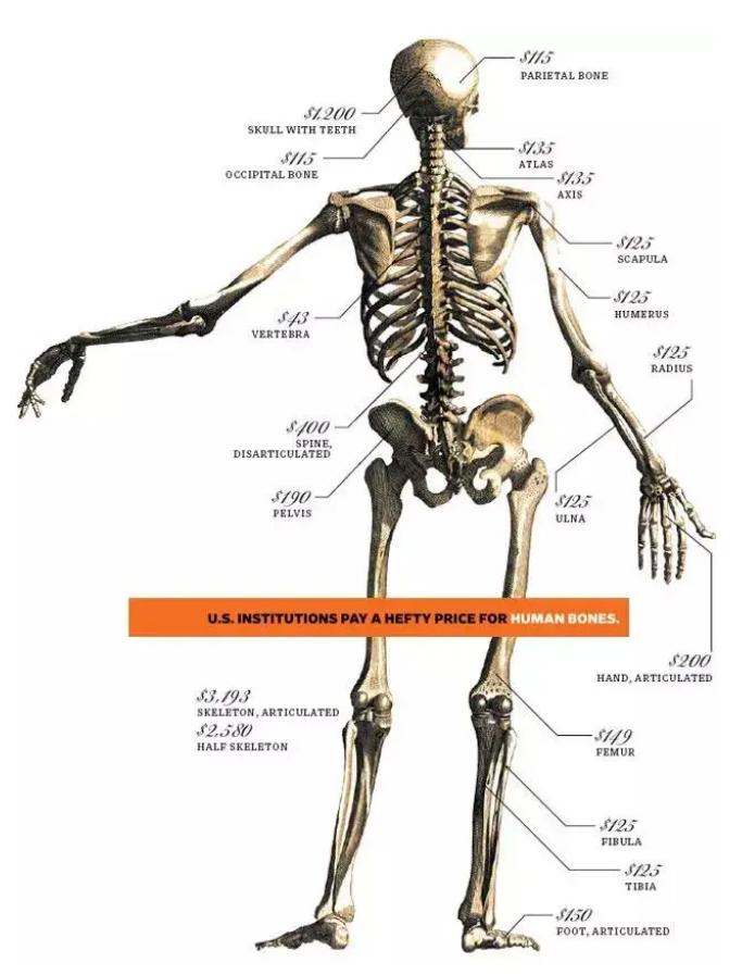 印尼富二代吃鳄鱼包,印尼富二代人骨包