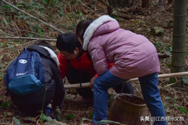 龙南冬天美景,龙南一日游的真实感受