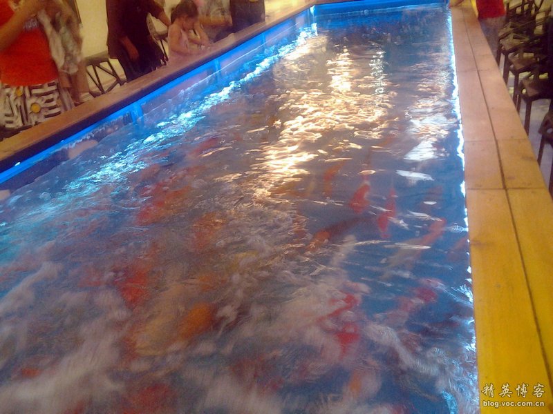 鏍床缇庣殑鏃朵唬骞垮満,鏍床缇庣殑鏃朵唬骞垮満鍋滆溅鏀惰垂