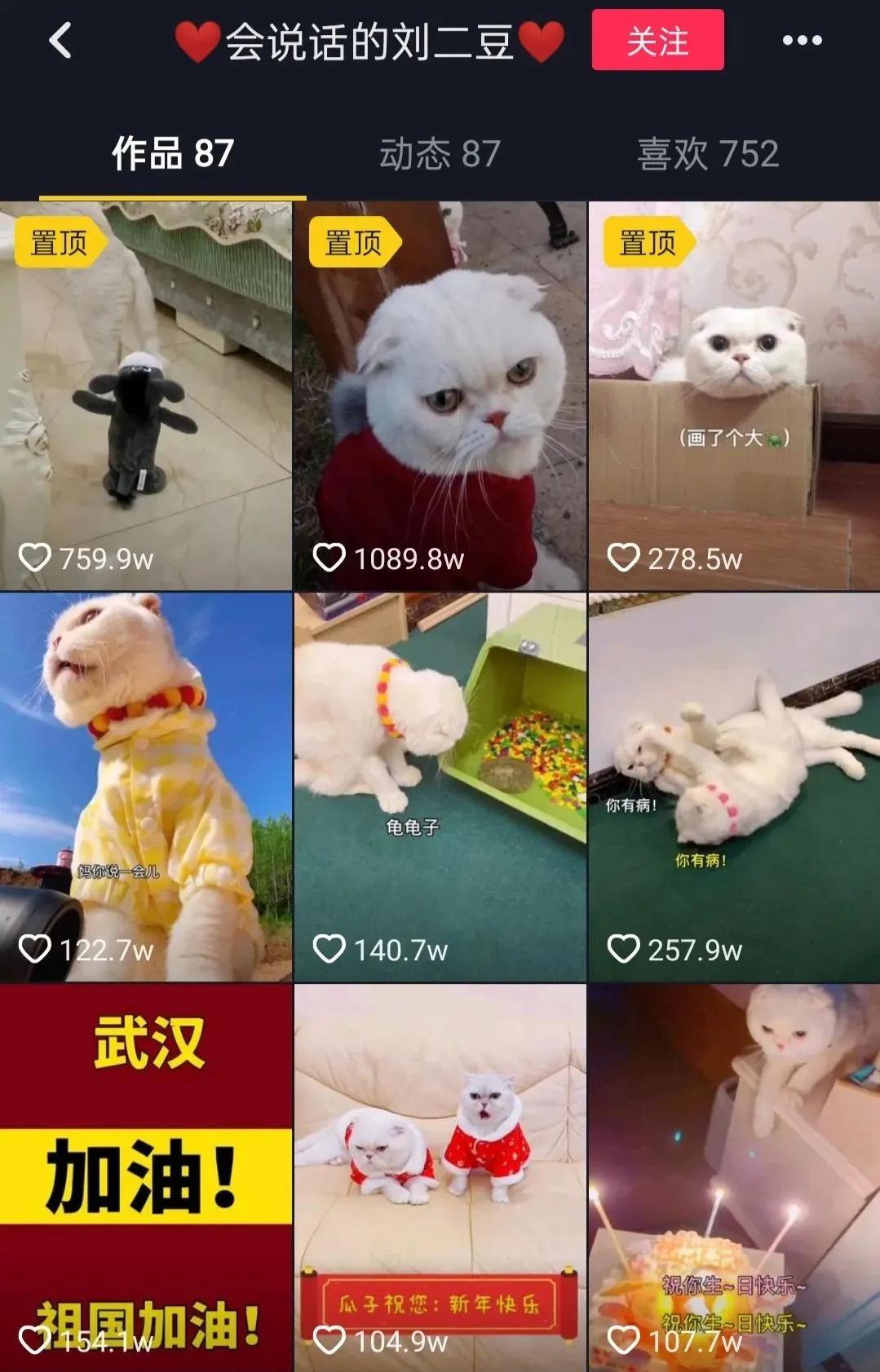 李佳琦大明星,比李佳琦好的狗