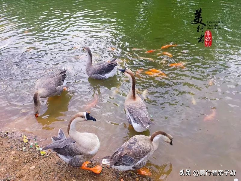 1688元2晚的酒店,688元一晚的酒店