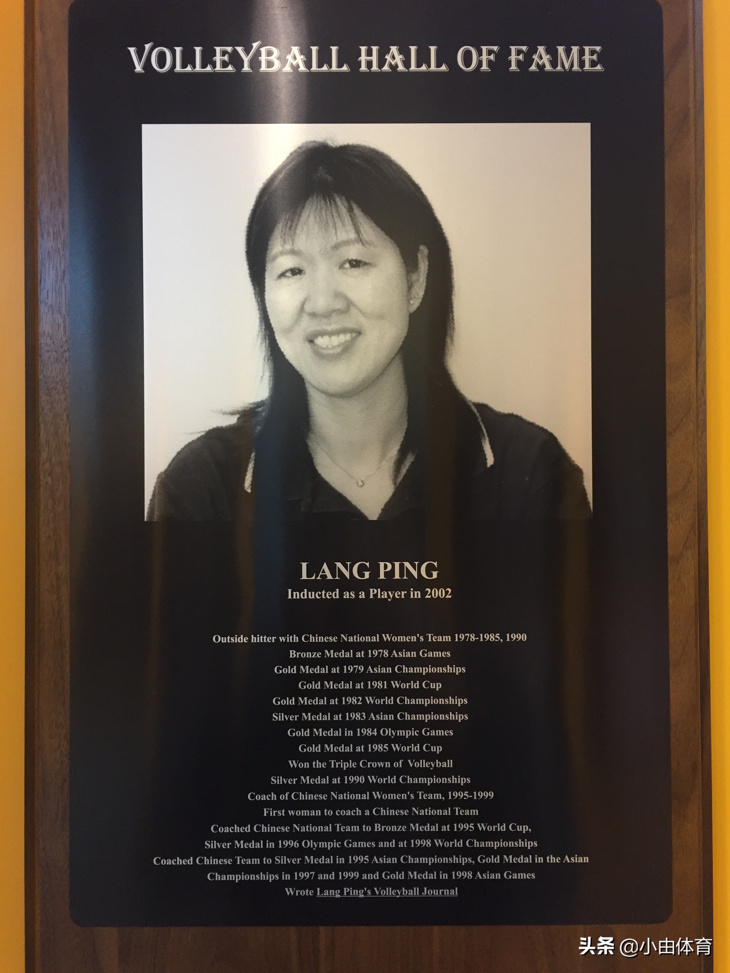 排球名人堂郎平,郎平进入排球名人堂