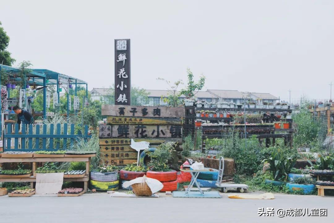空港运动公园游玩攻略,空港体育公园是空港花田吗